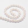 Rainbow Plated Shell Pearl Bead Strands BSHE-L025-02-6mm-2