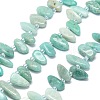 Natural Amazonite Beads Strands G-G106-J03-01-1