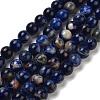 Natural South Africa Sodalite Beads Strands X-G-S259-35-6mm-2