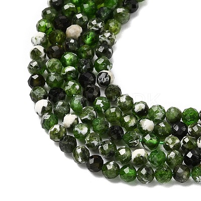 Natural Diopside Beads Strands LS-G-G188-B14-03-1
