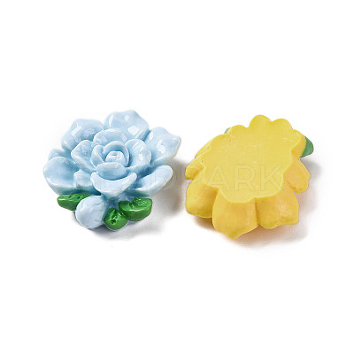 Opaque Resin Cabochons RESI-R455-01G-1
