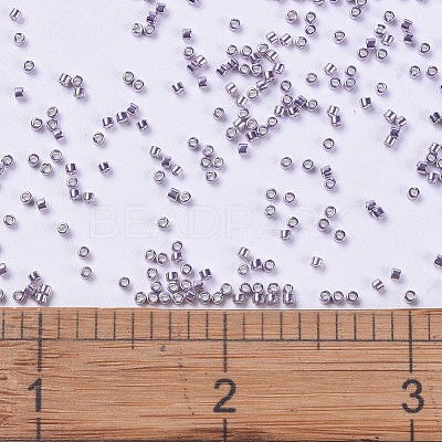 MIYUKI Delica Beads X-SEED-J020-DB0419-1