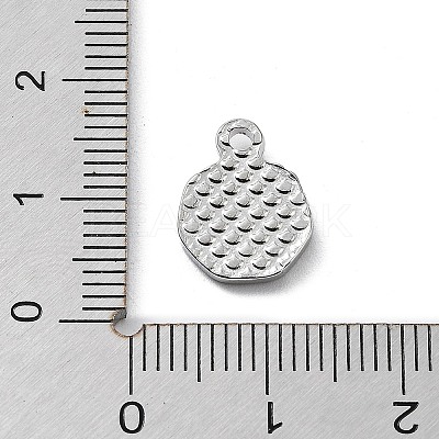 Non-Tarnish 304 Stainless Steel Charms STAS-K271-03P-1