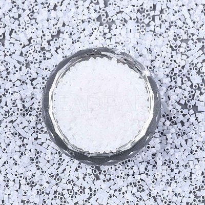 FGB 11/0 Grade A Glass Seed Beads X-SEED-S030-1141-1