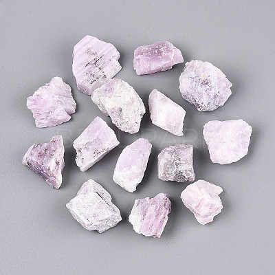Natural Kunzite Display Decorations G-N347-11A-1