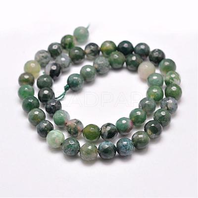 Natural Moss Agate Beads Strands G-F350-6mm-1