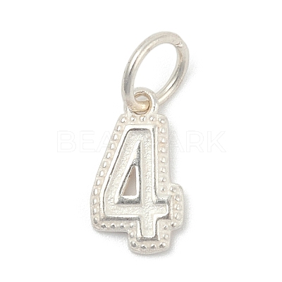 Number Series 925 Sterling Silver Charms LS-STER-Q002-01E-1