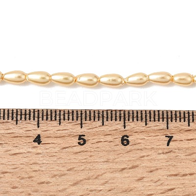 Electroplated Shell Pearl Beads Strands BSHE-C010-01A-1
