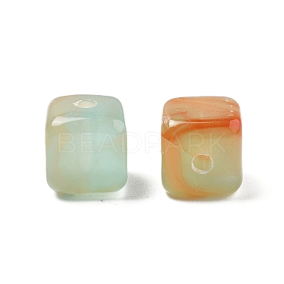 Transparent Acrylic Beads TACR-P013-A03-A-1