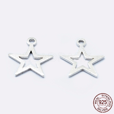 925 Sterling Silver Charms STER-I014-17S-1