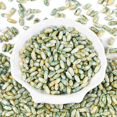 Baking Paint Glass Seed Beads SEED-N008-06H-1