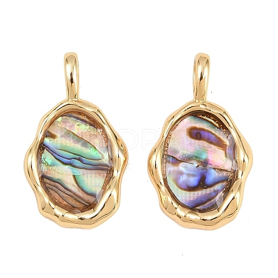 Brass Natural Paua Shell Irregular Pendants KK-I453-01G-02-1