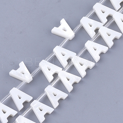 Freshwater Shell Beads X-SHEL-T012-59A-1