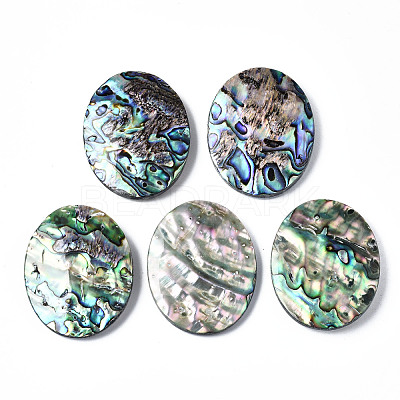 Natural Abalone Shell/Paua Shell Cabochons SSHEL-N034-87-1