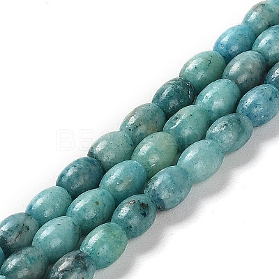 Natural Dolomite Beads Strands G-F765-A01-01-1