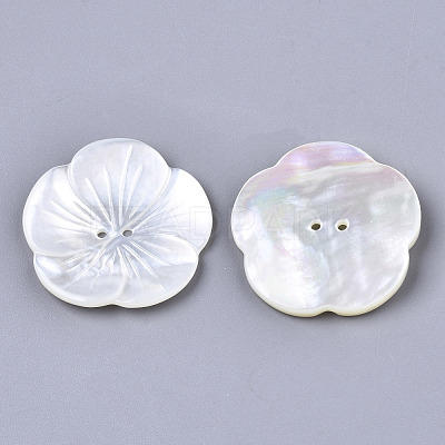 2-Hole White Shell Mother of Pearl Shell Buttons SSHEL-R049-06-1