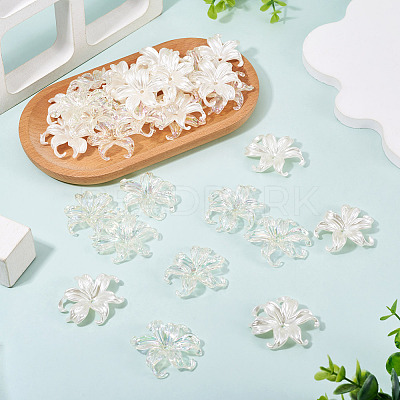 40Pcs 2 Styles Plastic Bead Caps KY-TA0001-67-1