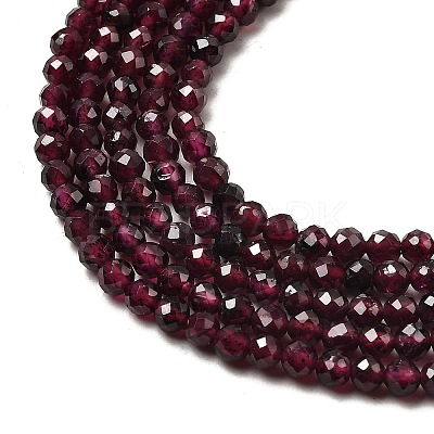 Natural Garnet Beads Strands X-G-I341-09B-01-1