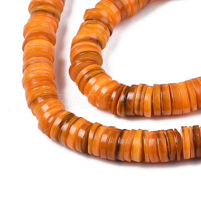 Natural Freshwater Shell Beads Strands X-BSHE-I016A-01G-1
