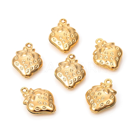 304 Stainless Steel Charms STAS-L244-46G-1
