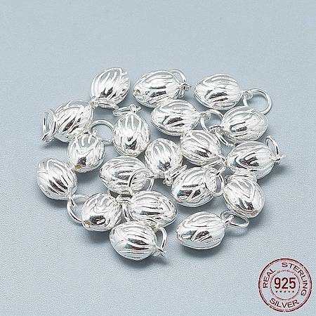 925 Sterling Silver Charms STER-T002-119S-1