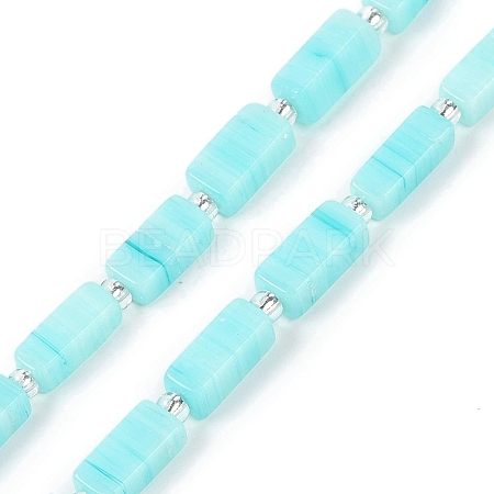 Handmade Lampwork Beads Strands LAMP-Q037-01B-04-1