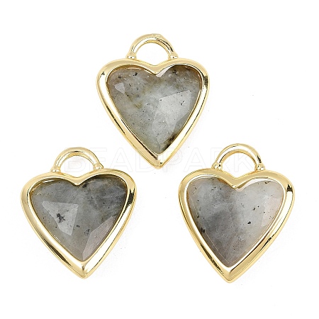 Natural Labradorite Faceted Pendants G-Z154-01G-07-1