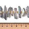 Electroplate Natural Quartz Crystal Beads Strands G-F800-B12-4