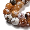 Faceted Natural Fire Crackle Agate Beads Strands G-F447-12mm-N10-4