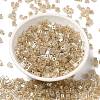 Glass Seed Beads SEED-H002-F-1136-2