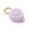 Opaque Acrylic Pendants PALLOY-JF04351-02-4