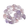 Natural Ametrine Beads Strands G-Q164-E02-01-3