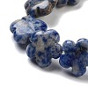 Natural Blue Spot Jasper Beads Strands G-F769-D01-01-4