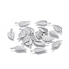 304 Stainless Steel Charms STAS-P236-18P-1