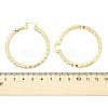 Brass Hoop Earrings EJEW-B117-06E-G-5