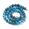 Natural Apatite Beads Strands LS-G-F617-01-8mm-2