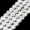 Natural Trochus Shell Beads Strands X-BSHE-P033-07-1
