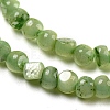 Natural White Shell Dyed Beads Strands BSHE-Z005-03E-3
