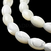 Natural Trochus Shell Beads Strands BSHE-E030-02B-4