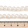 Natural Cultured Freshwater Pearl Beads Strands PEAR-I007-07X-03A-5