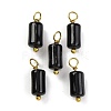 Natural Obsidian Cloumn Pendants STAS-H221-04G-08-1