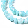 Natural Trochid Shell/Trochus Shell Bead Strands SSHEL-N034-78-C03-3