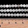 Natural Rainbow Moonstone Beads Strands G-P500-01C-01A-4