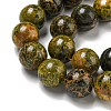 Natural Bumblebee Jasper Beads Strands G-P544-A03-02-4