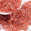Glass Seed Beads SEED-A033-01B-01-1