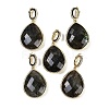 Natural Labradorite Faceted Teardrop Pendants G-B126-04G-02-1