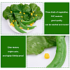 CHGCRAFT 3 Style Artificial Fake Food Miniature PVC Vegetable DJEW-CA0001-11-5