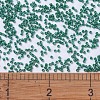 MIYUKI Delica Beads SEED-X0054-DB0656-4