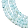 Dyed Natural Freshwater Shell Beads Strands SH-CBA2978-07A-01-2