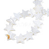 Natural Freshwater Shell Beads Strands X-SHEL-S278-01D-01-4